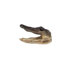 Medium Gator Head -3 Sizes - 7" - 10" - 7"-8"
