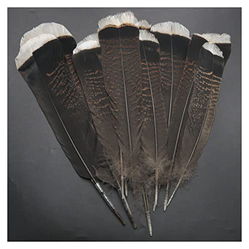 Single Feather
