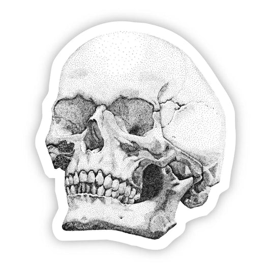 Skull Sticker